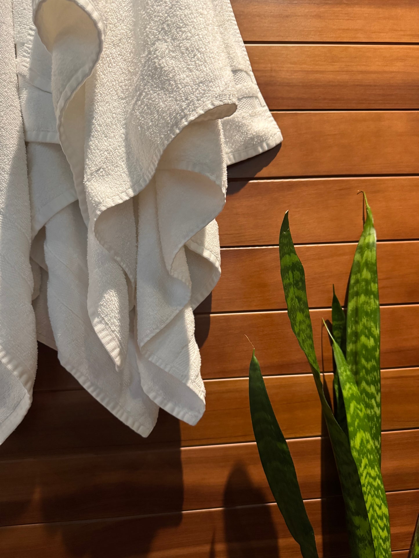 3 Session Punch Pass